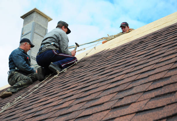 Best Gutter Installation and Roofing  in Union City, TN